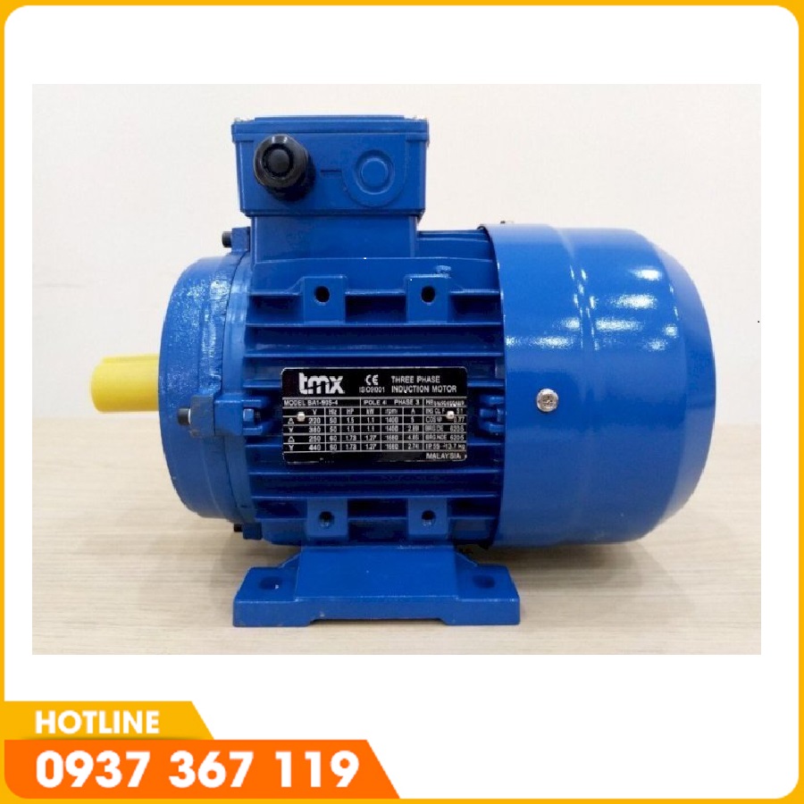 Motor TEM (TMX)